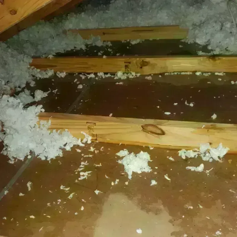 Attic Water Damage in Mallory, WV